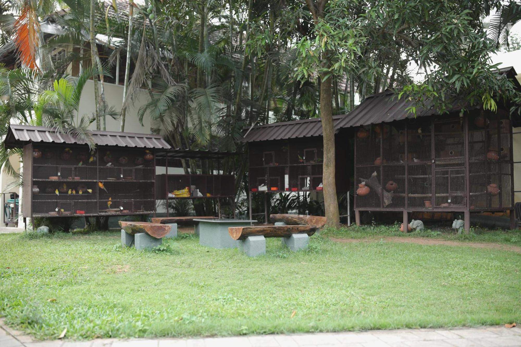 Lagoona Beach Resort, Kovalam Exterior photo